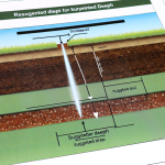 how deep should sprinkler lines be buried