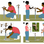 how to add a sprinkler head to an existing line